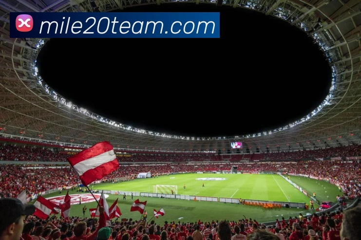 米乐m6平台生态图