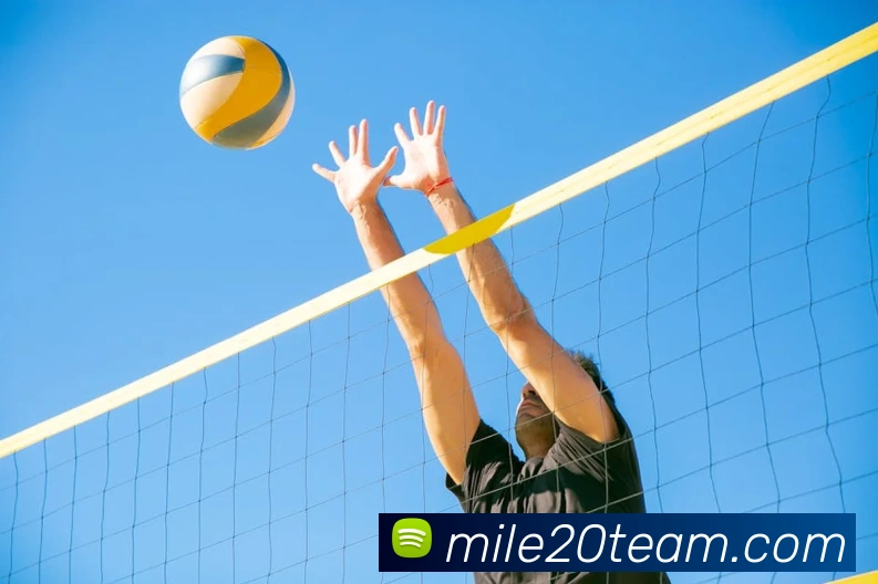 米乐m6APP 封面图